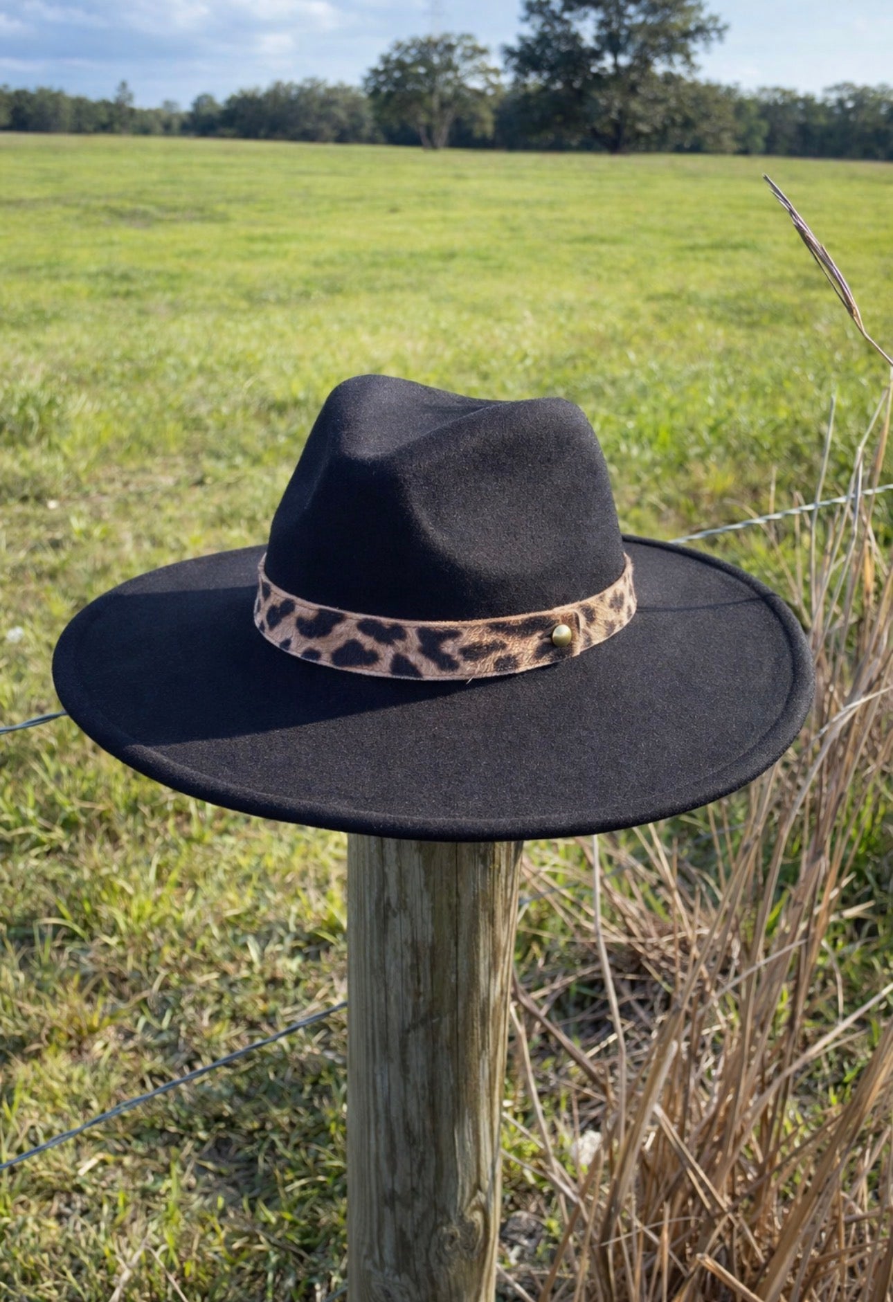 Black & Leopard Felt Rancher Hat